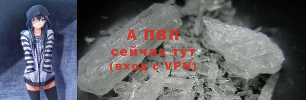 прущие крисы Беломорск
