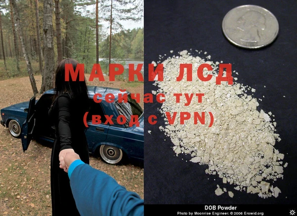 прущие крисы Беломорск